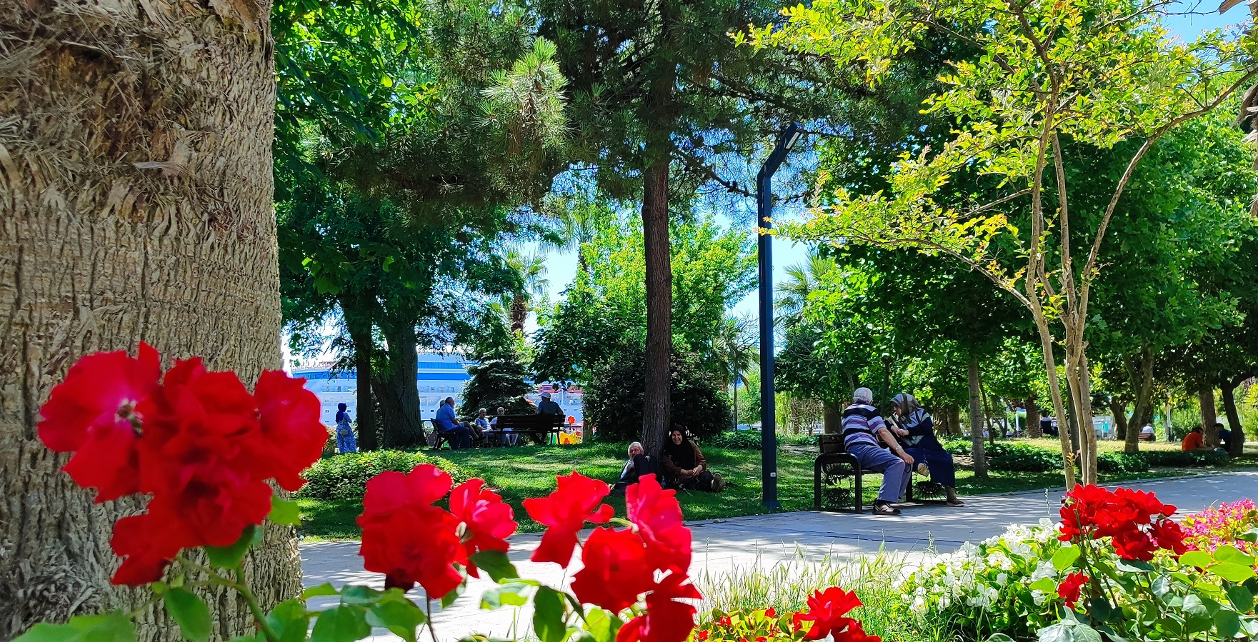 Sinop’ta Huzurlu Bir Yer Aşıklar Parkı