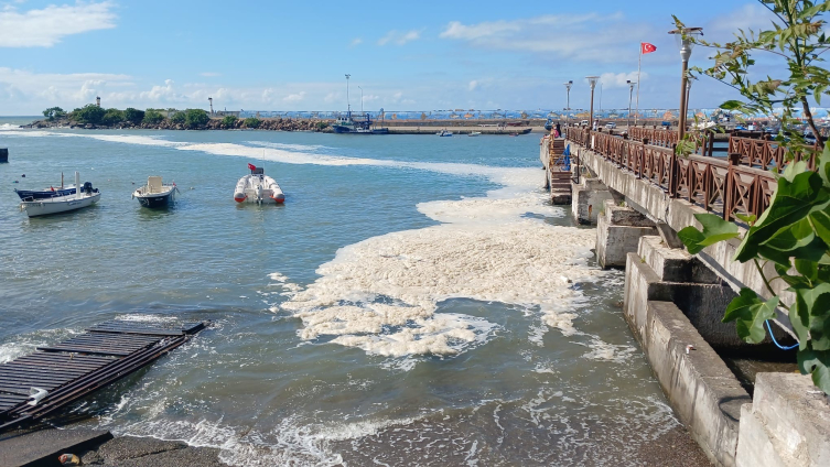 Karadeniz’de müsilaj yayılıyor