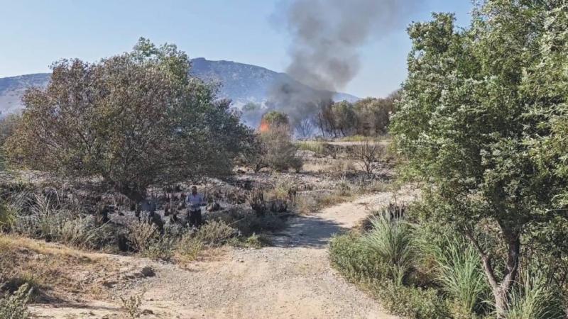 Osmaniye’deki Kastabala Kuş Cenneti havzasında yangın