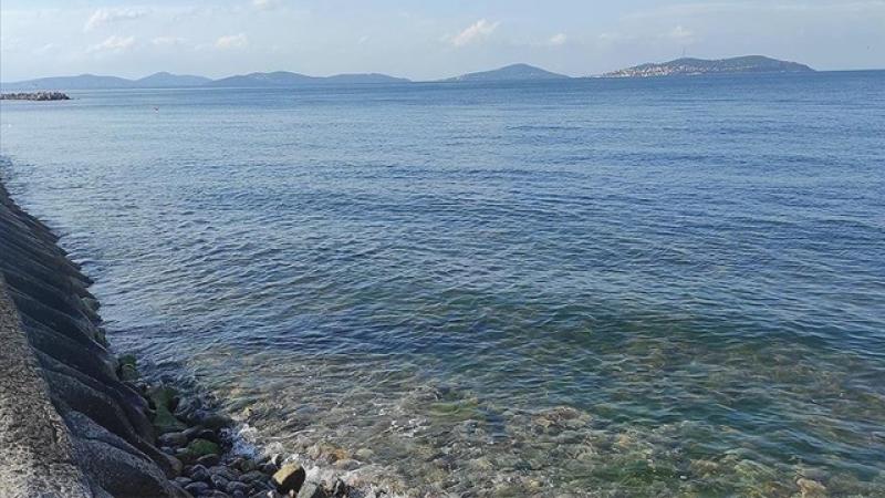 Çevre Haftası “Hepimizin Bir Dünyası Var” temasıyla kutlanacak