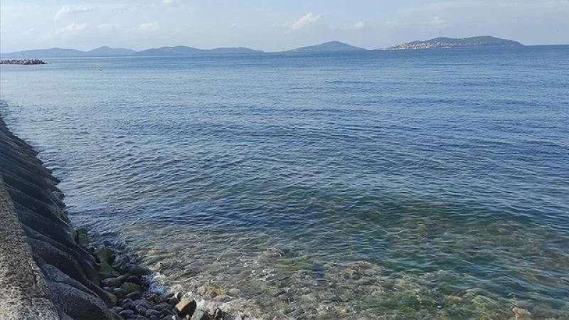 Çevre Haftası “Hepimizin Bir Dünyası Var” temasıyla kutlanacak