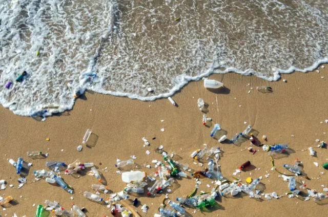 Bilim insanları Büyük Pasifik Çöp Alanı’nda yüzen enkaz üzerinde plastik yiyen deniz mantarını keşfetti