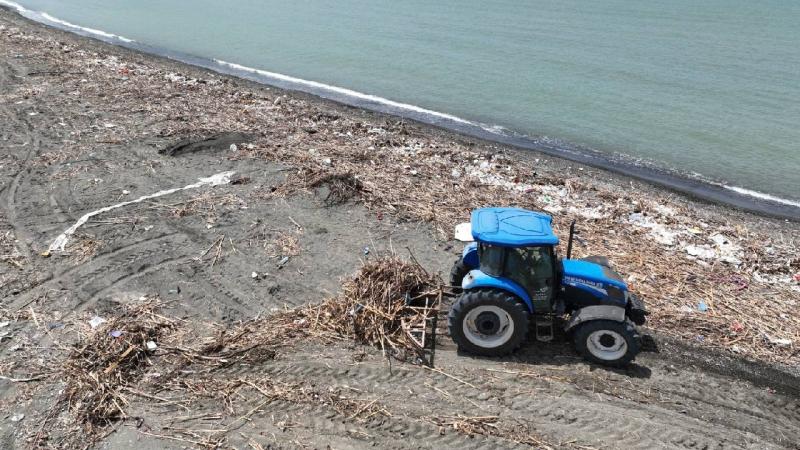 Hatay’da deniz kaplumbağalarının yuvalama alanları temizlendi