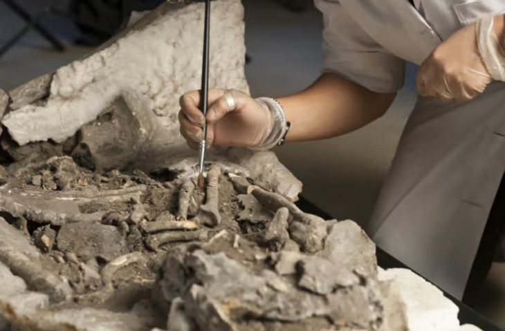 Avrupa’da mumyalama düşünülenden daha eski olabilir