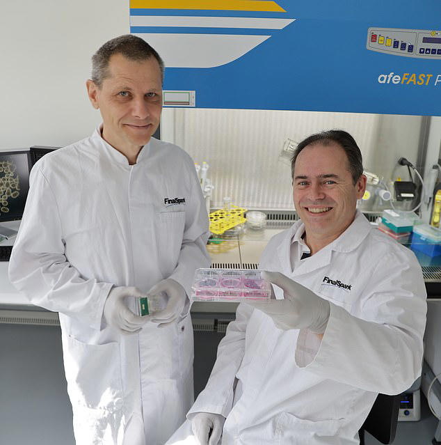 Dünyanın ilk ‘yaşayan bilgisayarı’ insan BEYNİNDEN yapıldı