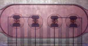 Bilim İnsanları İnsan Dokusundan Oluşan 16 Mini Beyni Birleştirerek “Yaşayan Bir Bilgisayar” Oluşturdu