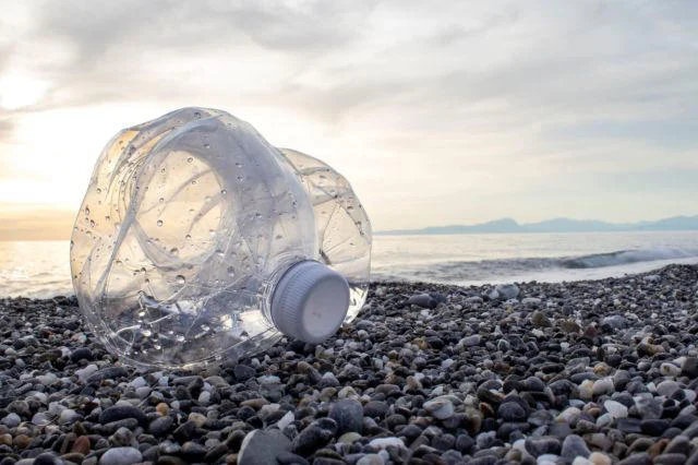 Mikroplastiklerin deniz ekosistemleri üzerindeki etkisini azaltmak için sürekli araştırmalara ve proaktif önlemlere açıkça ihtiyaç var