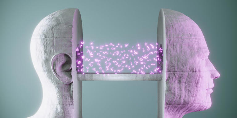 Birleşik Bir Bilinç Teorisi Zirvede Olabilir