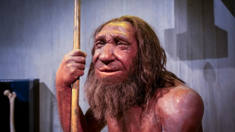 145 bin yıl önce yaşamış ilk Down sendromu vakası keşfedildi