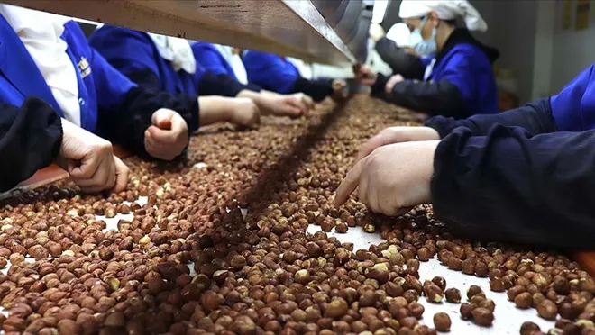 Fındık 9 ayda 1,8 milyar dolar kazandırdı