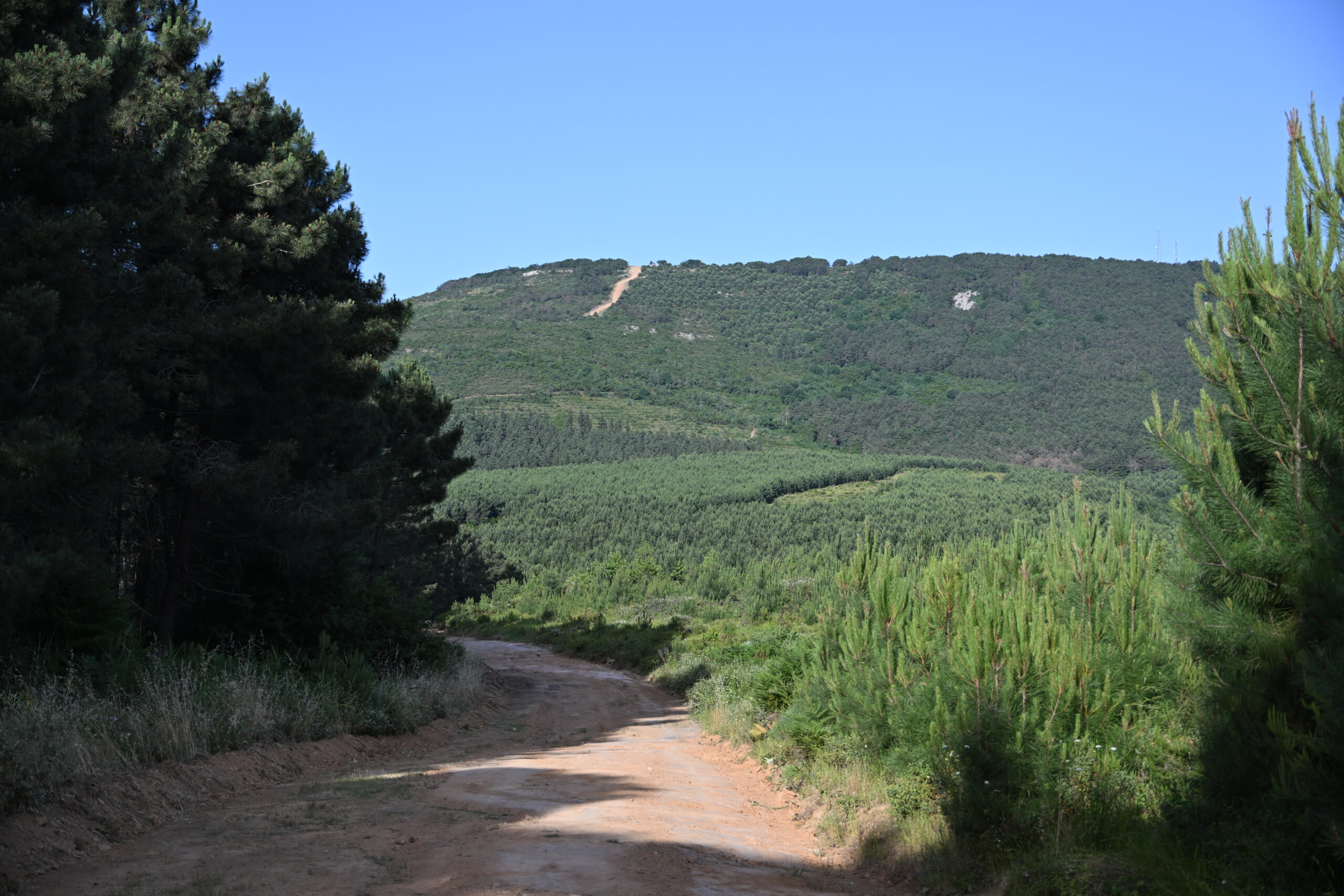 Aydos Tepesi(Özel Haber)