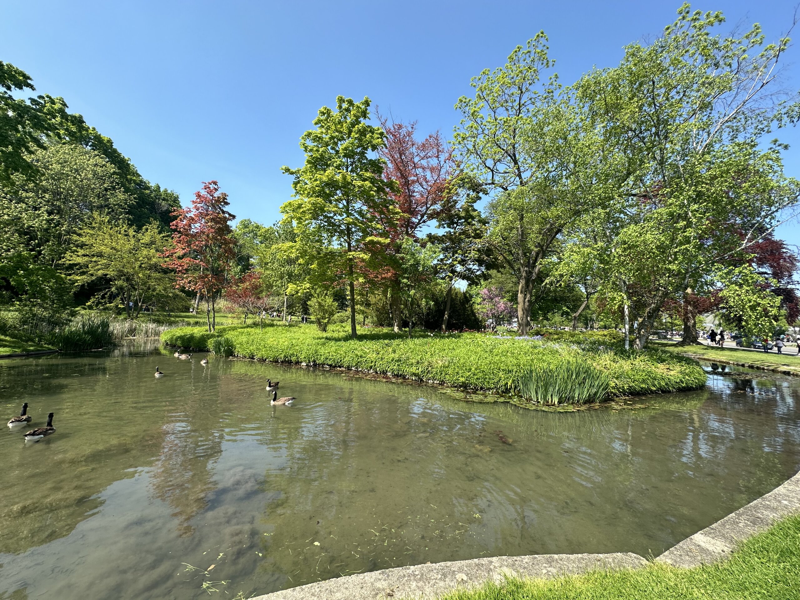 Niagara Şelalesi Kıyısında Niagara Parkı(Özel Haber)