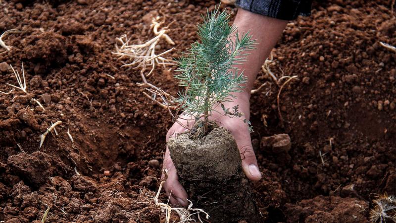 Türkiye, Azerbaycan’ın da “geleceğine nefes” oluyor