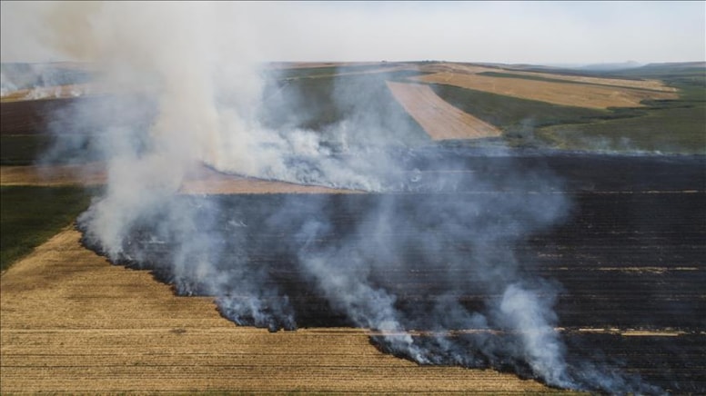 Anız yakanlara ceza verilecek