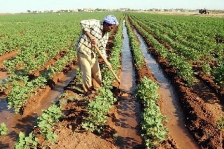Şanlıurfa’da 254 Bin Dekar Tarım Arazisi Sulama Alt Yapısıyla Buluşuyor