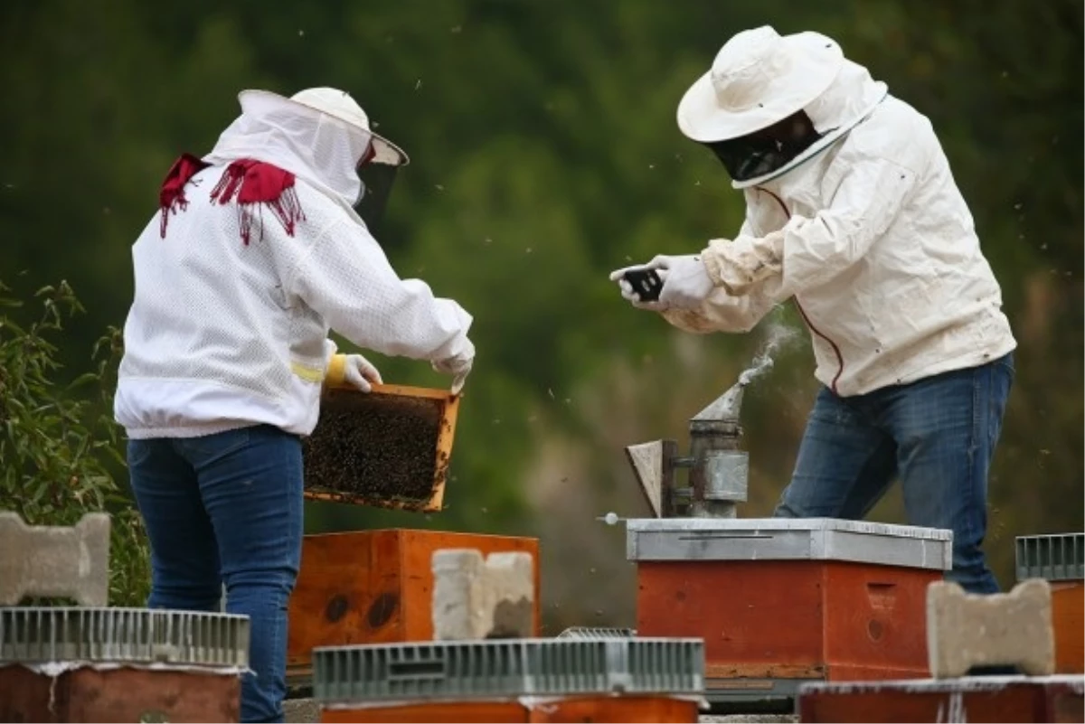 Türkiye’de sadece 5 kişi bu mesleği yapıyor! Günlük kazançları ise 9 bin TL