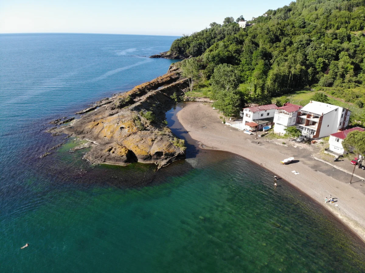 Ordu’da bu adayı görenler timsah sanıyor
