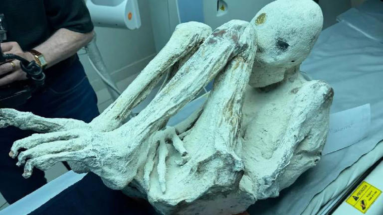 Bilim insanları uzaylı mumyalar keşfetti, biri hamile çıktı!