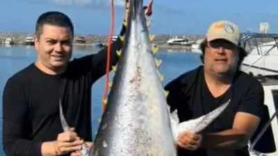 Hatay Samandağ’da dana gibi balık!