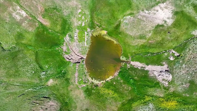 Yağışlarla tamamen dolan Akgöl, yeniden kuşların yaşam alanı oldu