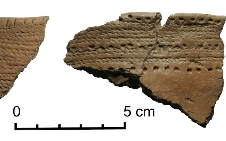 Kadın Çömlekçiler 5.000 Yıl Önce Baltık Çevresini Dolaştı