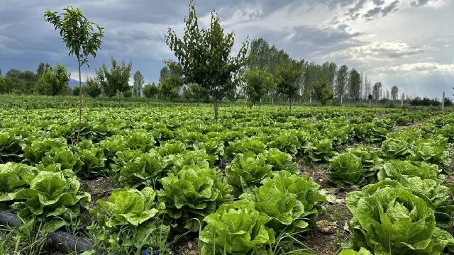 Kayseri’de 2024 yılında 640 bin 40 dekar tarım arazisi sulanacak