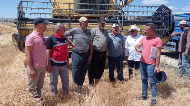 Niğde’de çiftçilere dane kaybı uyarısı