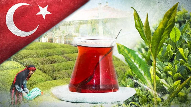 Türkiye’nin vazgeçilmez içeceği çayın 100 yıllık hikayesi