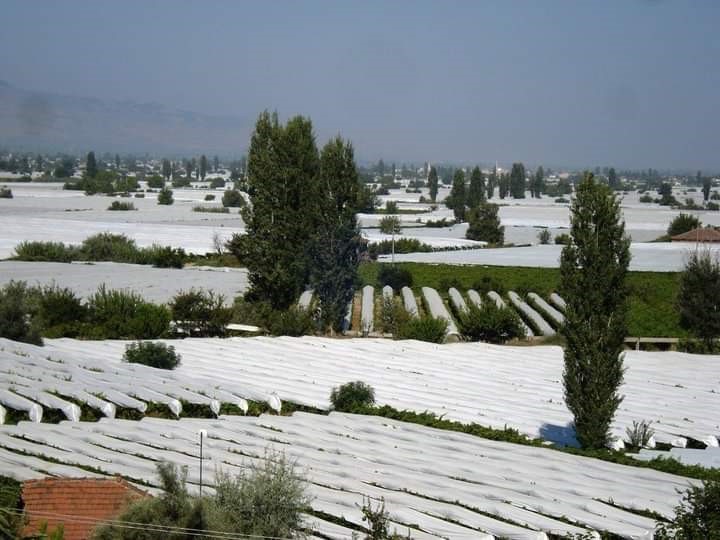 Sarıgöl Ovası beyaza büründü