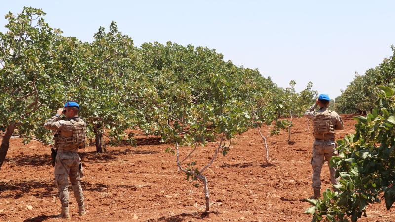 Jandarma ekipleri fıstık nöbetinde