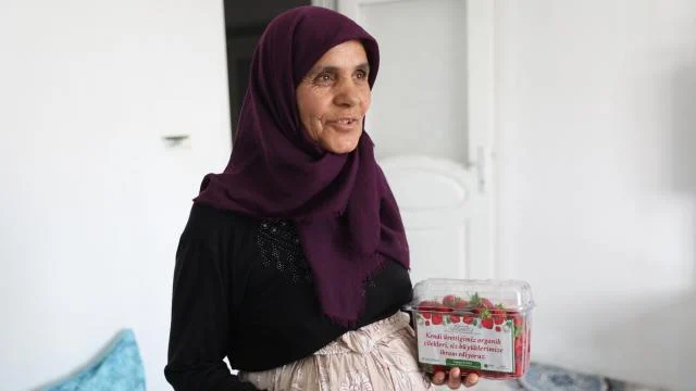 Gaziantep’te üretilen çilekler, 65 yaş üstündekilere dağıtılıyor