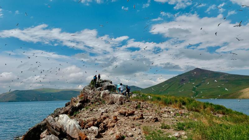 Balık Gölü yüzlerce kuşa ev sahipliği yapıyor