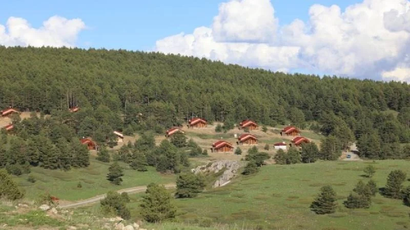 Erzincan’ın yeşil cenneti: Dumanlı Tabiat Parkı