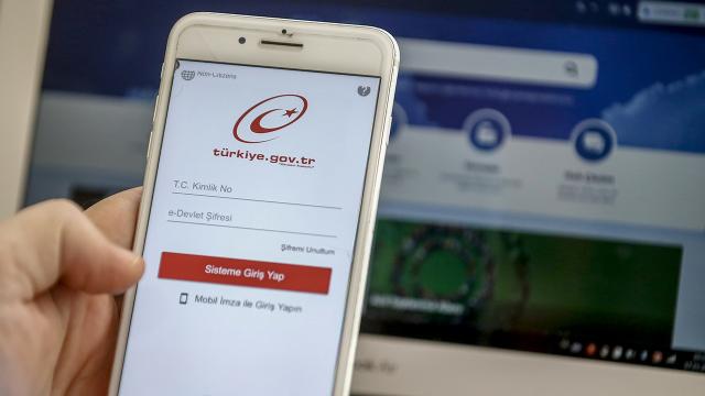 e-Devlet üzerinden 234 bin 588 “engelli kimlik kartı” verildi