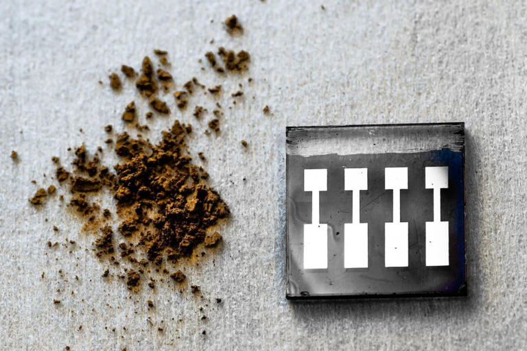 Araştırmacılar düşük maliyetli, uzun ömürlü güneş hücreleri oluşturmak için odun kullanıyor