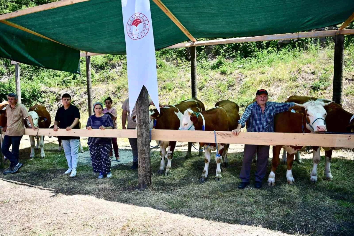 Sinop’ta ORKÖY Projeleri Kapsamında 265 Köylüye 40 Milyon TL Ferdi Kredi Desteği Verildi