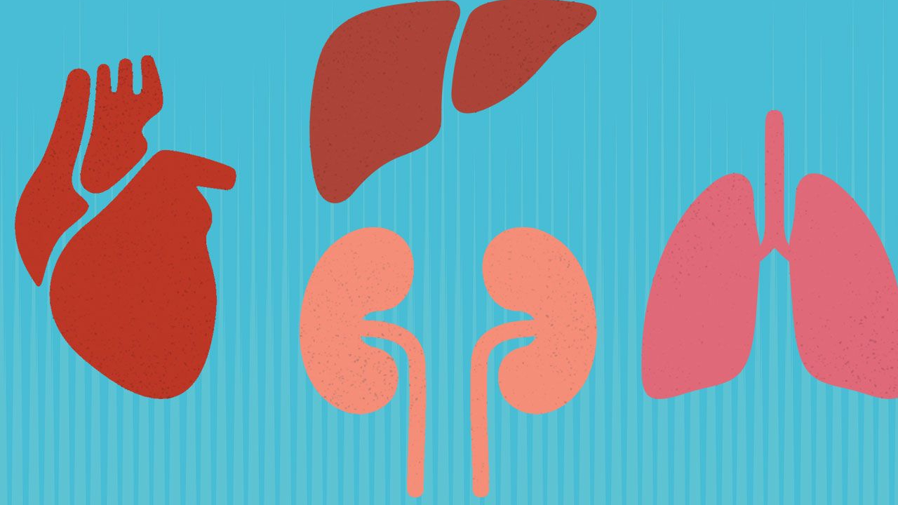 Organ Nakillerinden Sonra Görülebilen “Vücudun Organı Reddetmesi” Olayı Tarihe Karışacak