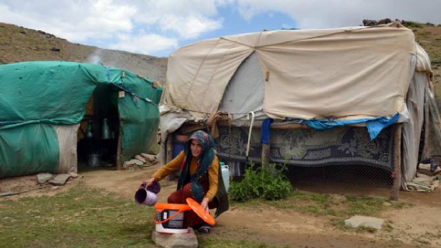 Muş’ta göçerlerin yayla mesaisi sürüyor