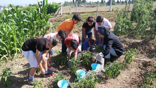 Yalovalı öğrencilerden tarımsal sulama projesi