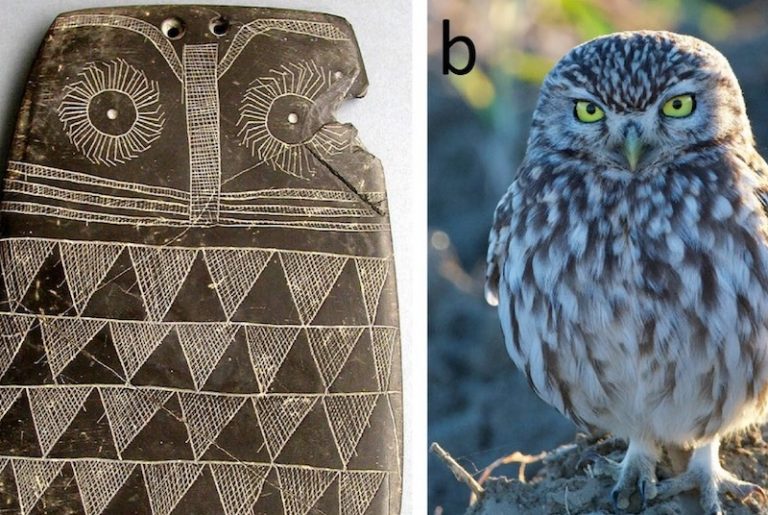 Kutsal Baykuş Oymaları Aslında Çocuk Oyuncağı Olabilir