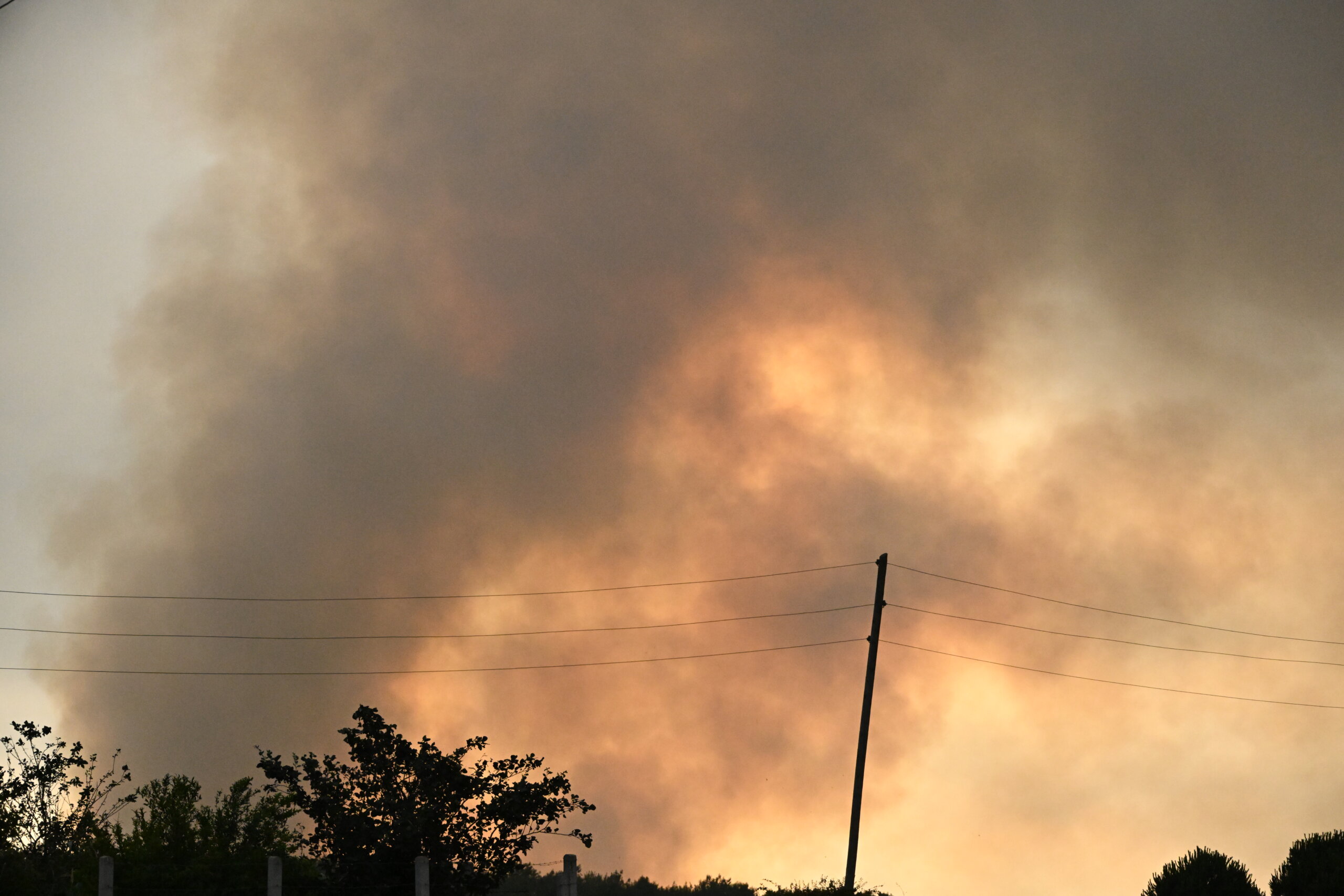 Adabaşı’nda Ot Yangını! (Özel Haber)