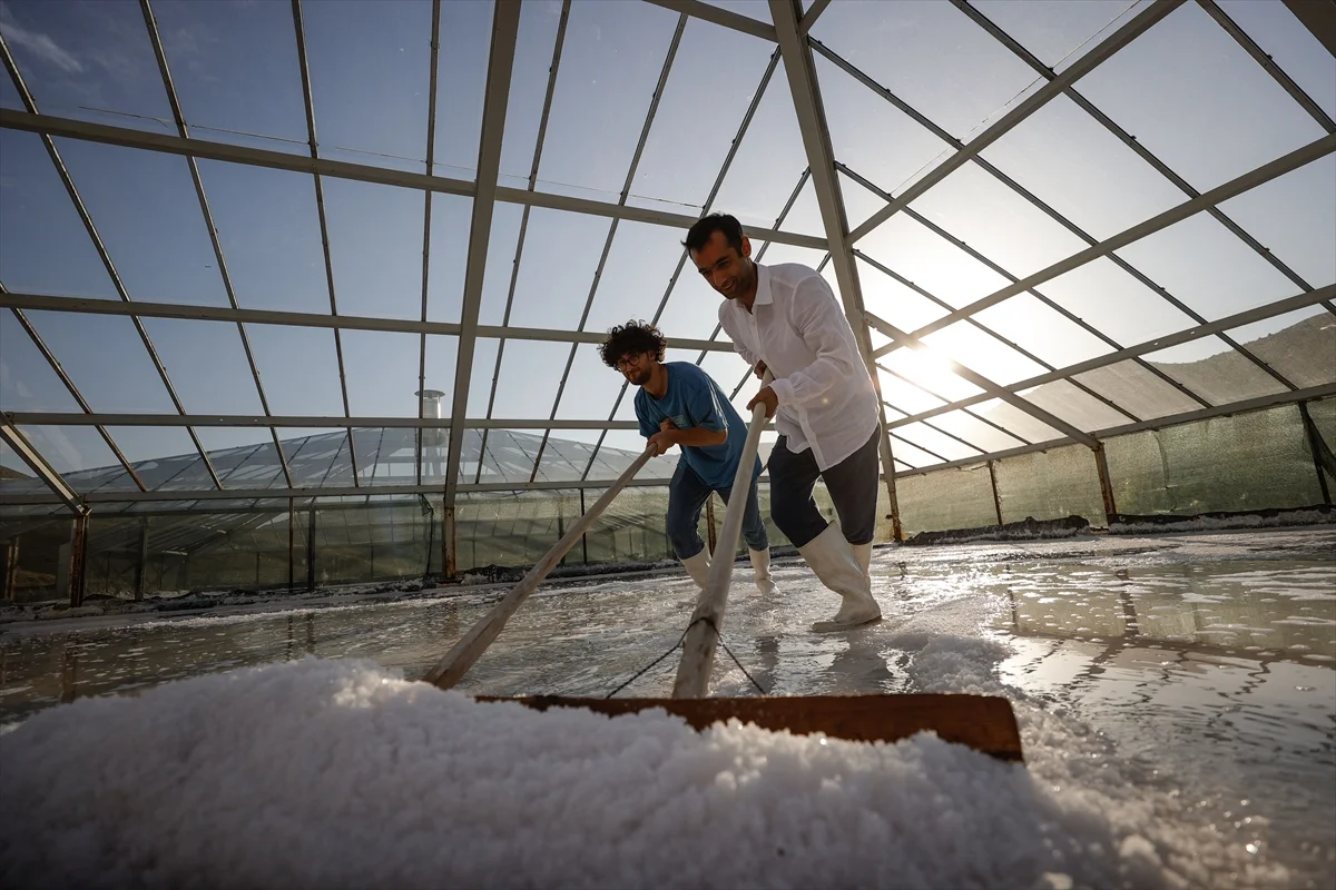 Tuz üreticilerinin hasat mesaisi