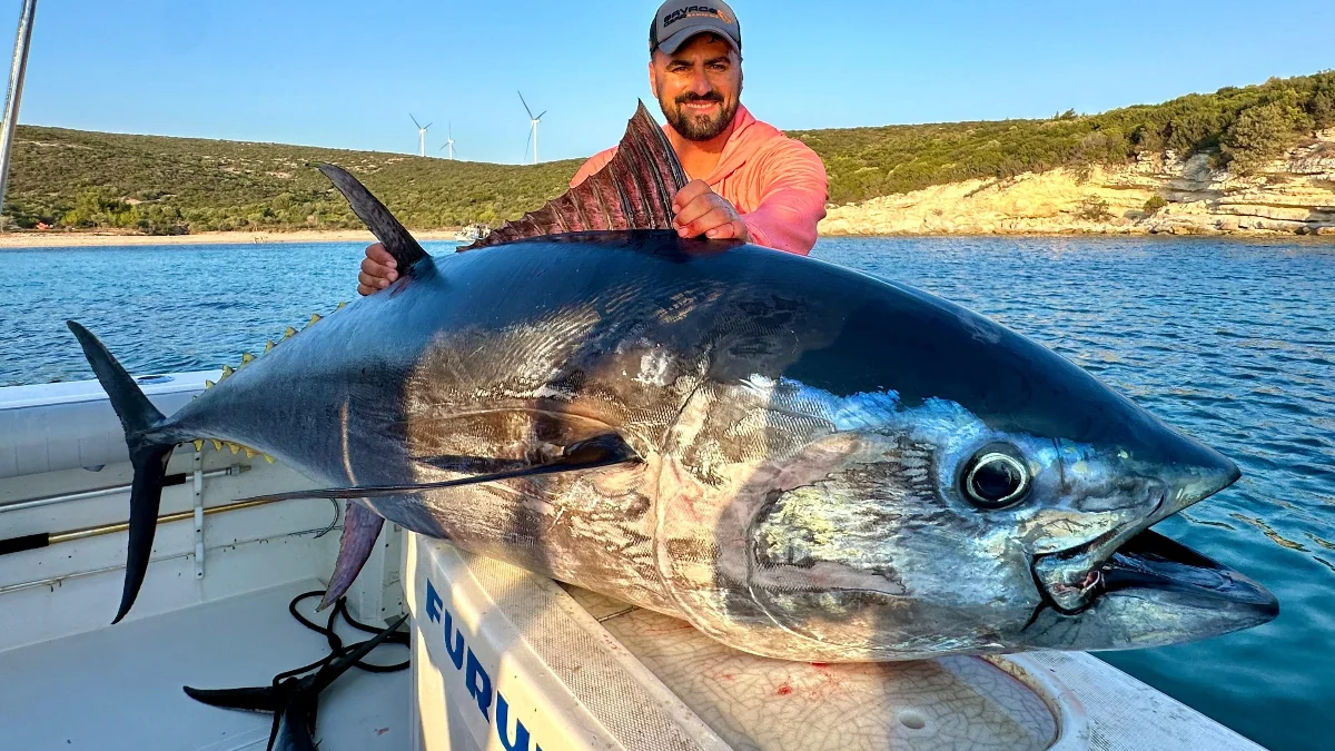 İzmir’de bir balıkçı 3 tane dev orkinos yakaladı