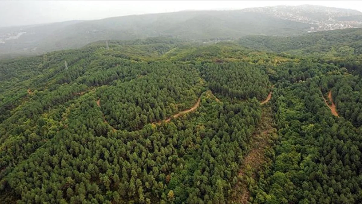 Ormanlar, yangın tehdidine karşı 14 İHA ve 368 kamerayla izleniyor