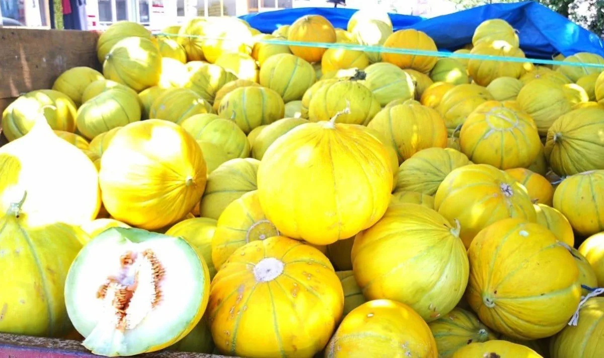 Çorum’da Sungurlu’nun meşhur 10 dilim kavunu tezgahlarda