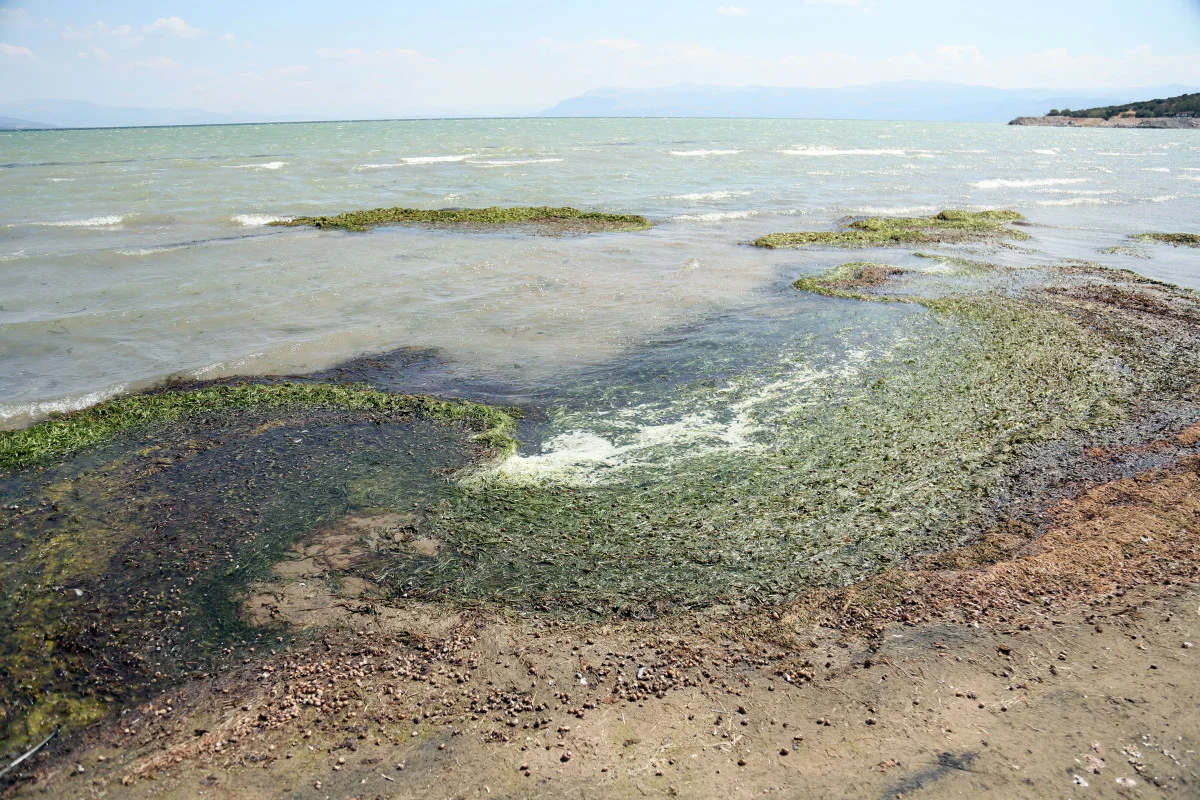 Isparta’nın incisi Eğirdir Gölü, tehlike altında…