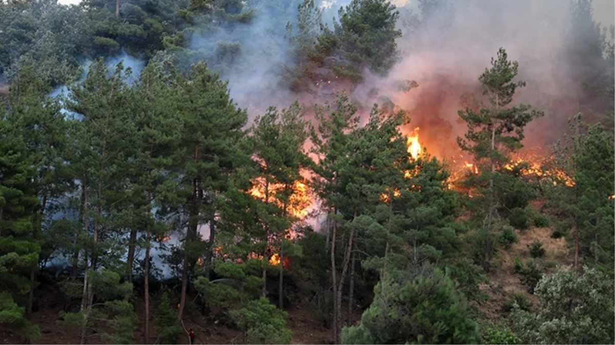 Kahramanmaraş’taki orman yangınının nedeni ”piknikçi ateşi”