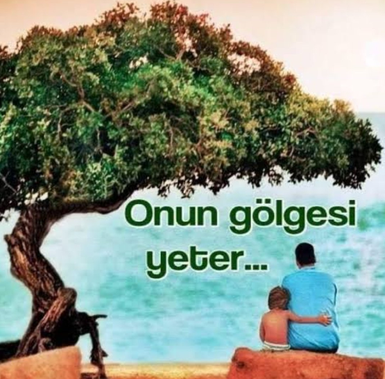 Gölgesine Sığındığımız Ağaçlar