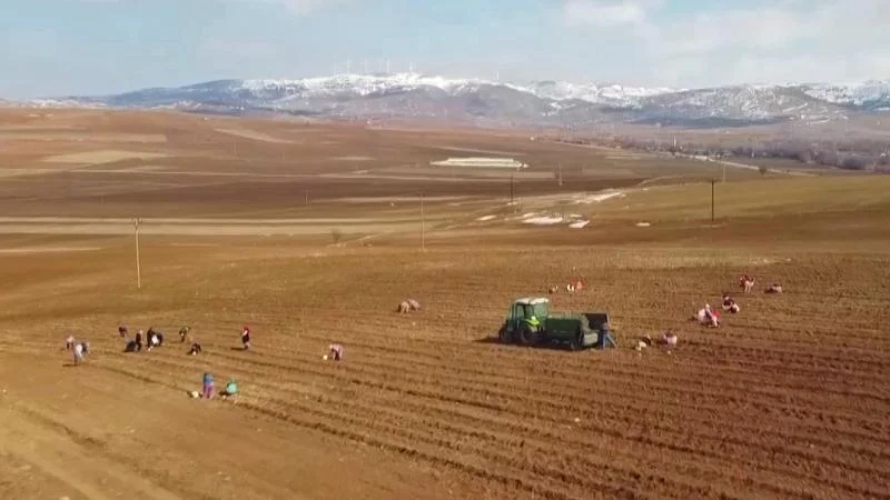 Kars’ta işlenmeyen tarım arazileri üreticilere kiralanacak