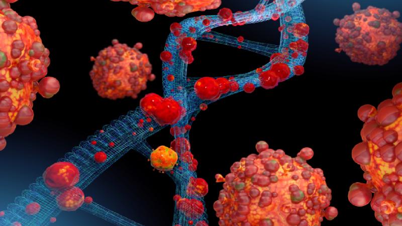 Avrupa’da Maymun çiçeği uyarısı: Risk düşük ancak ithal vakalar artabilir